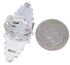 Silver Red Oyster Shell Large Statement Piece Ring Size 9-1/4 BW72073